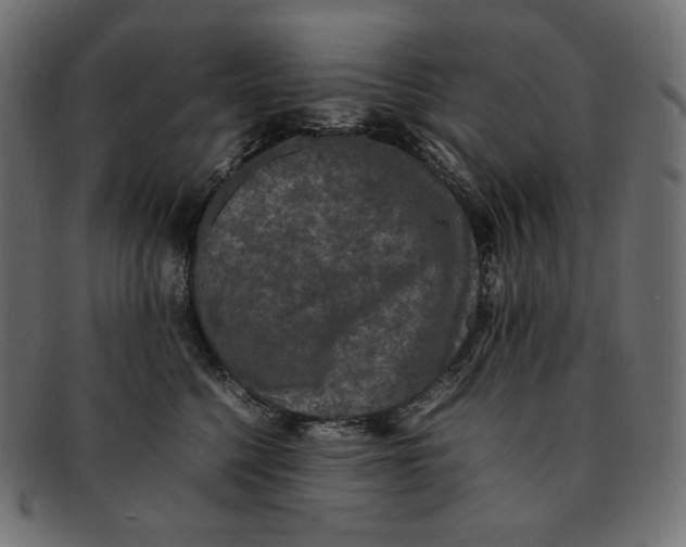 X0000092060568200710101036