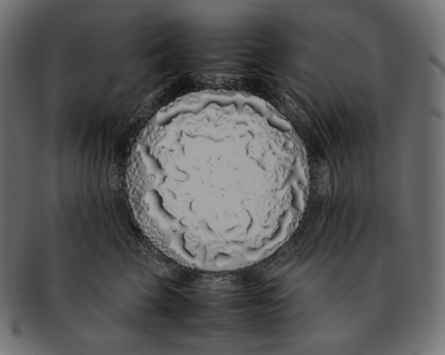 X0000092060569200710101036