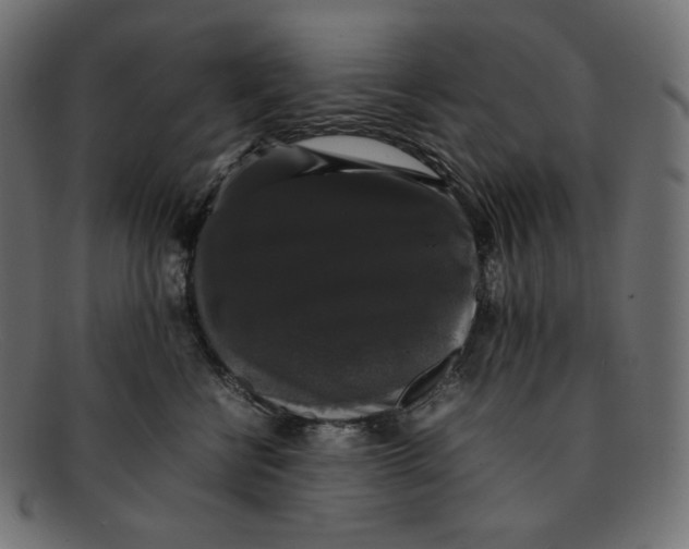 X0000092060570200710101036