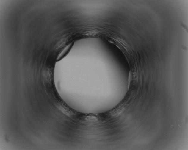 X0000092060572200710101036