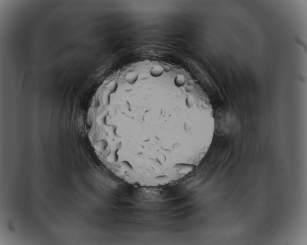 X0000092060573200710101036