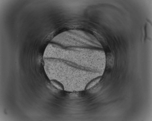 X0000092060574200710101036