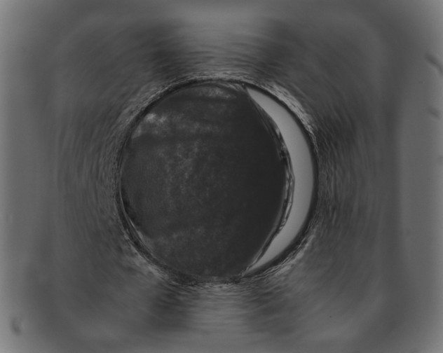 X0000092060577200710101035