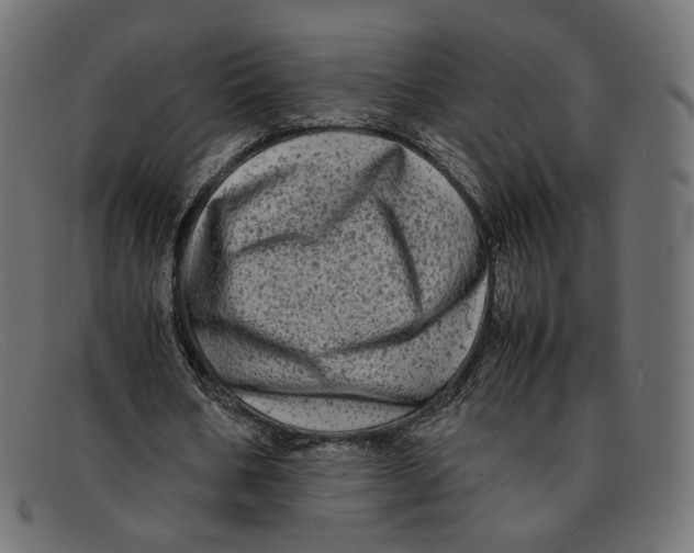 X0000092060578200710101035