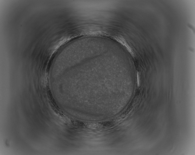 X0000092060579200710101035