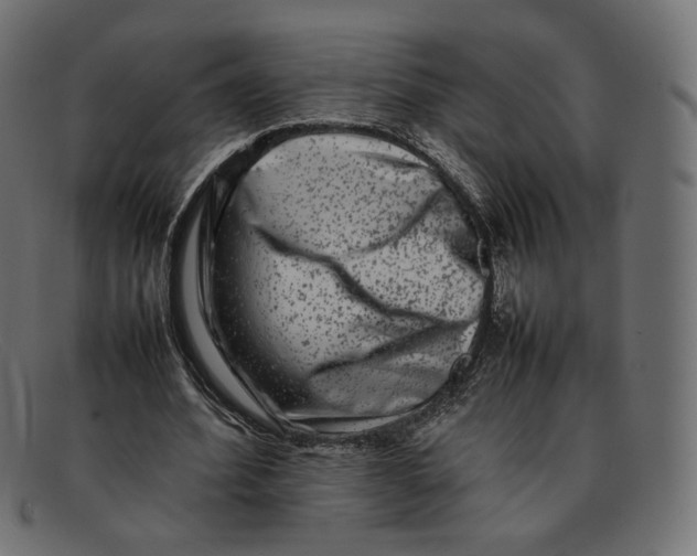 X0000092060580200710101035