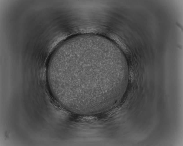 X0000092060583200710101035