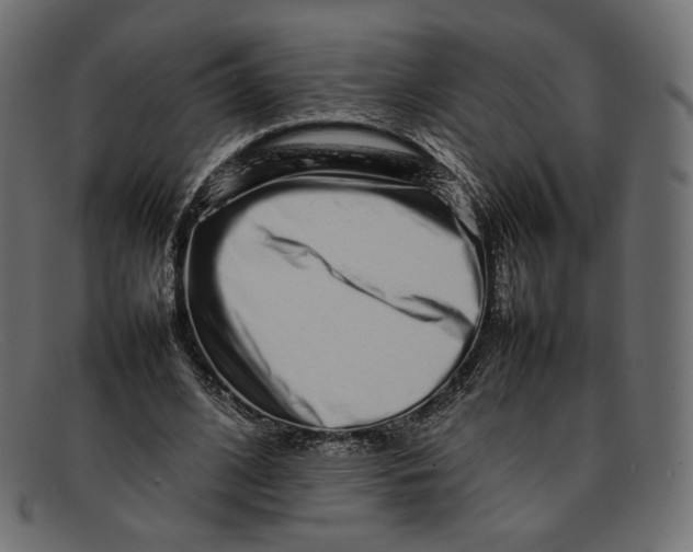 X0000092060584200710101035