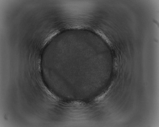 X0000092060585200710101035