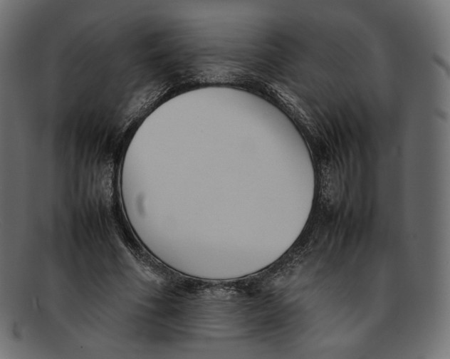 X0000092060586200710101035