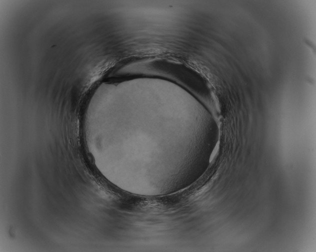 X0000092060589200710101035