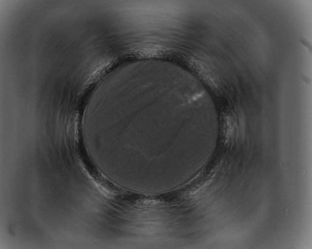 X0000092060590200710101035