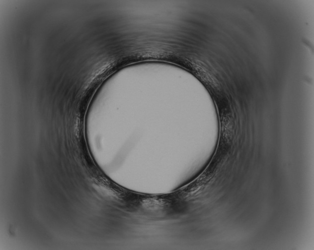 X0000092060591200710101035