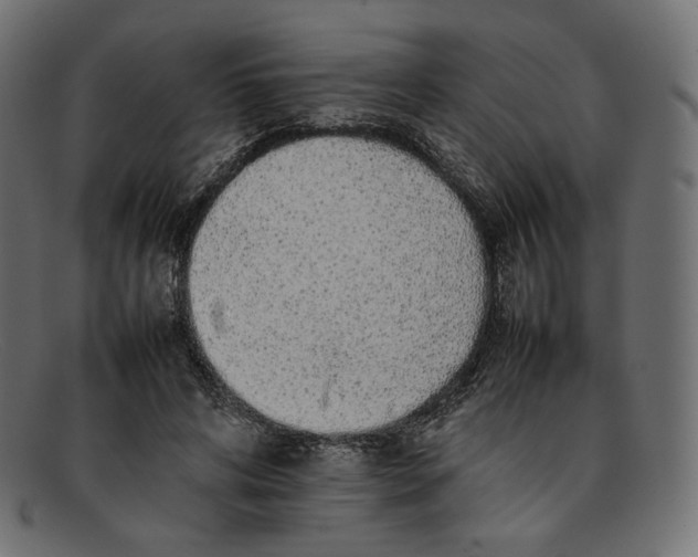 X0000092060592200710101035