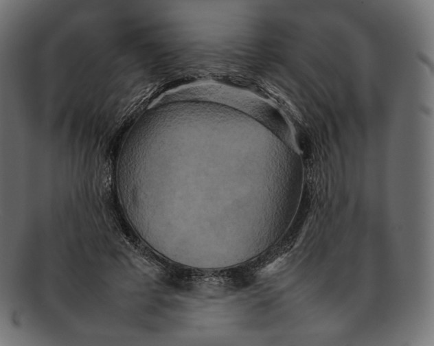 X0000092060593200710101035