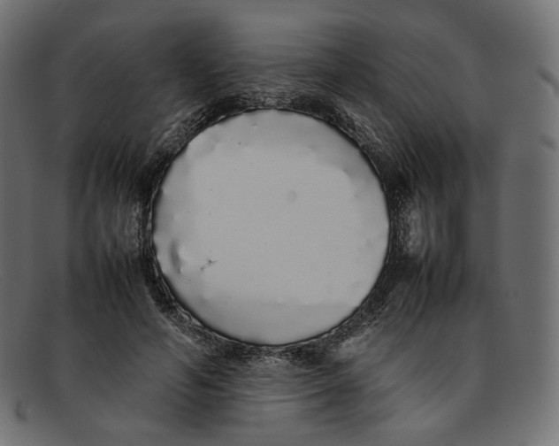 X0000092060594200710101035