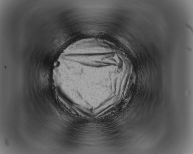 X0000092060596200710101035