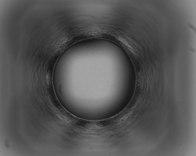 X0000092060597200710101035