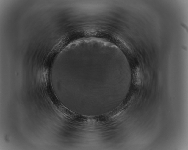 X0000092060598200710101035