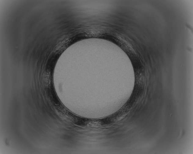 X0000092060599200710101035