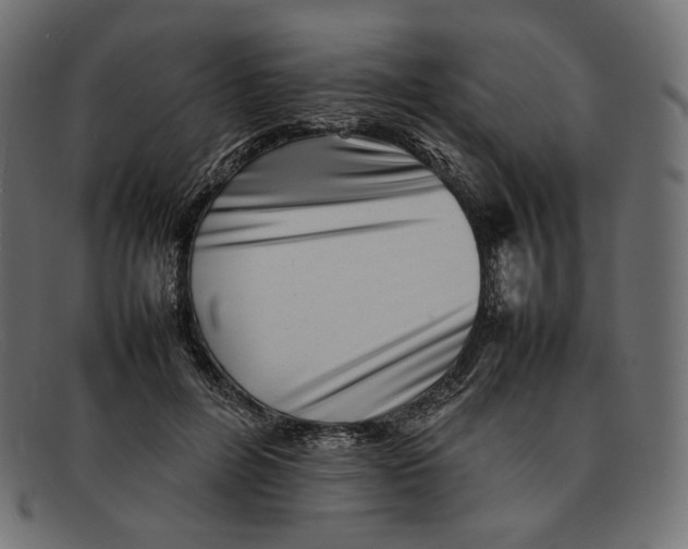 X0000092060600200710101035