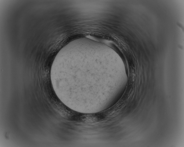 X0000092060601200710101035