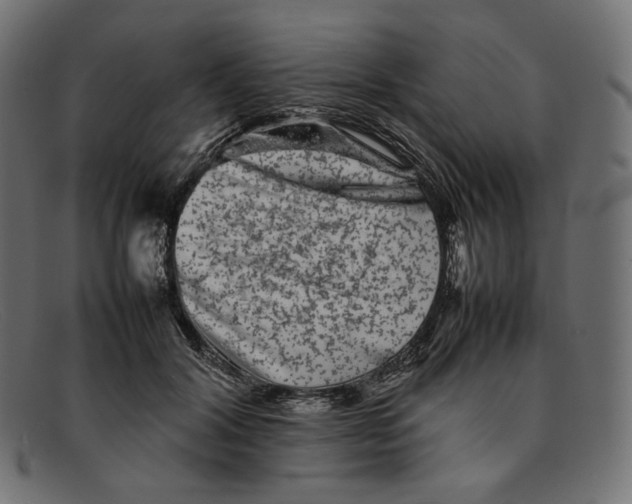 X0000092060604200710101035