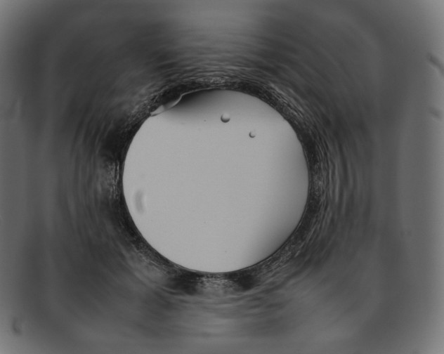 X0000092060605200710101035