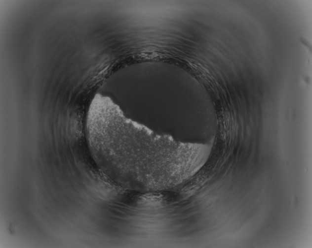 X0000092060606200710101035