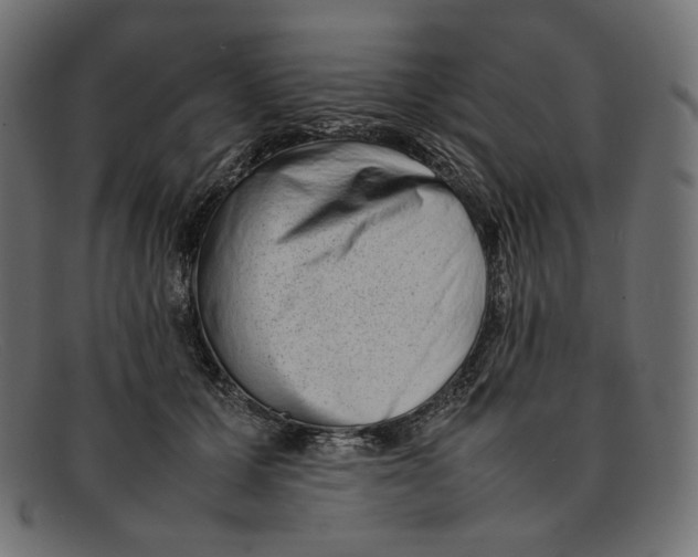 X0000092060607200710101035