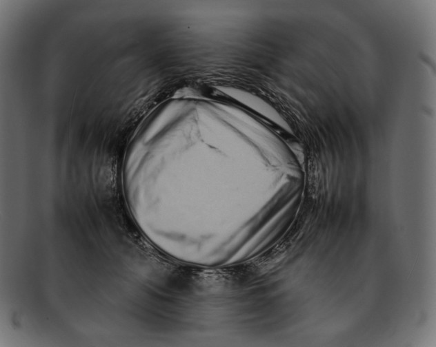 X0000092060608200710101035