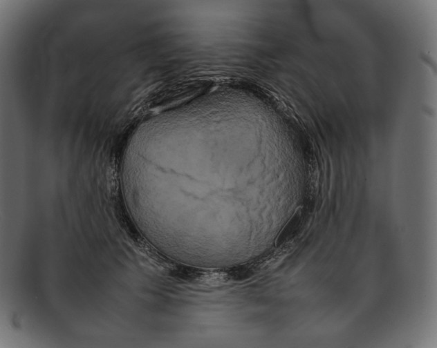 X0000092060609200710101035