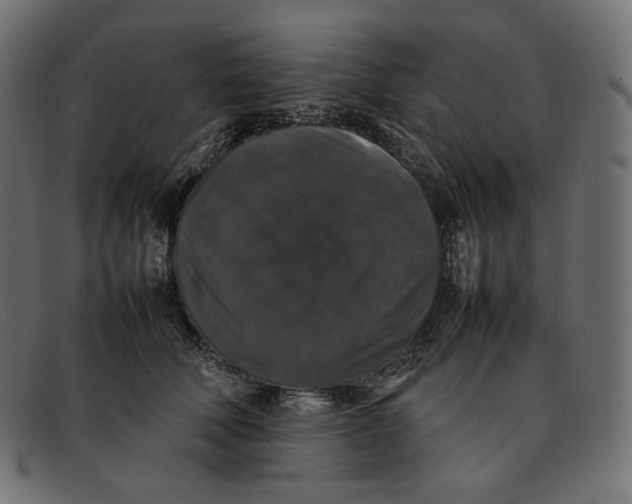 X0000092060610200710101035