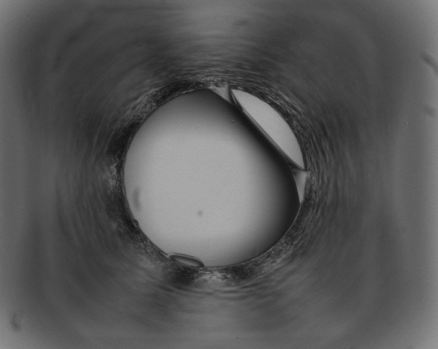 X0000092060611200710101035