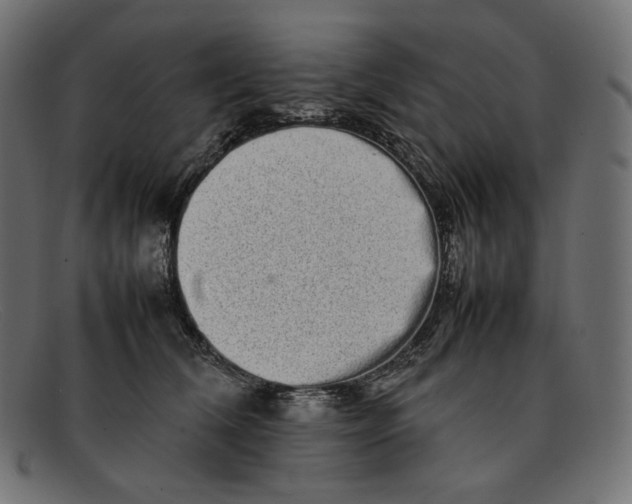 X0000092060612200710101035