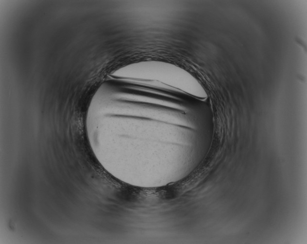 X0000092060613200710101035