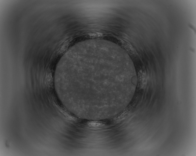 X0000092060614200710101035