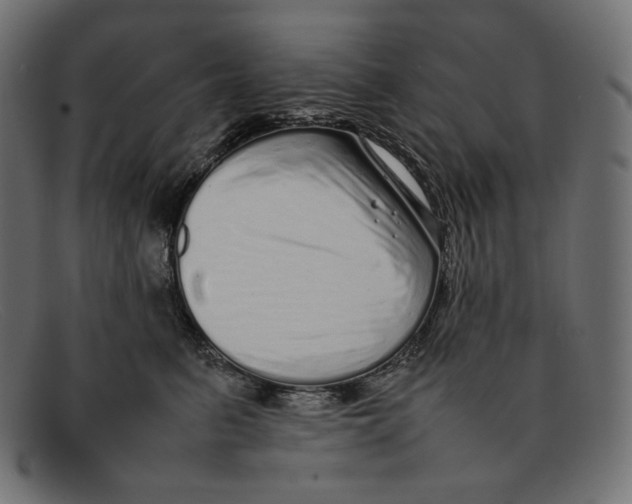 X0000092060615200710101035