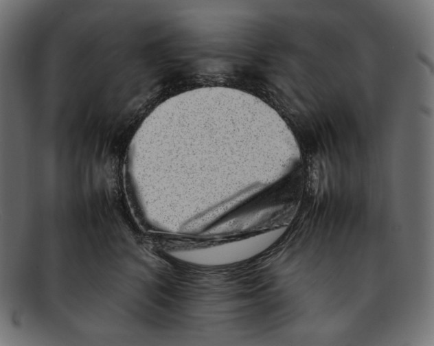 X0000092060616200710101035