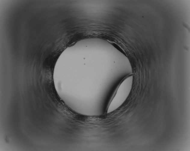 X0000092060617200710101035