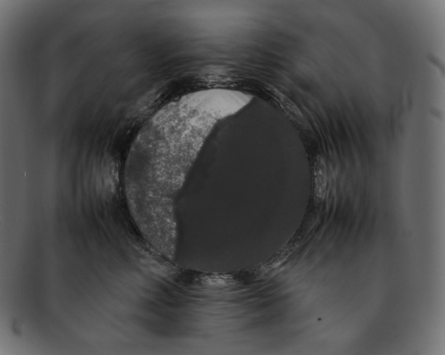 X0000092060618200710101035