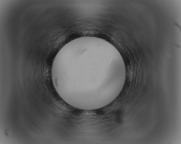 X0000092060619200710101035