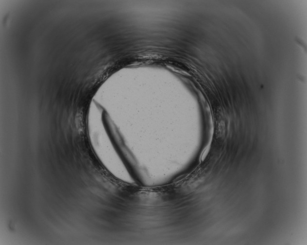 X0000092060620200710101035