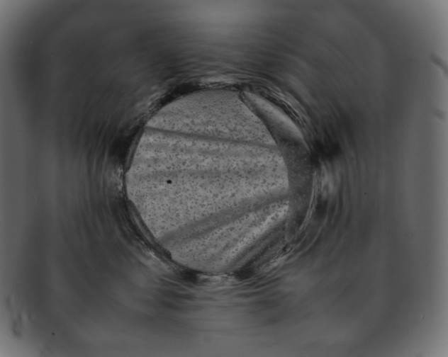 X0000092060621200710101035