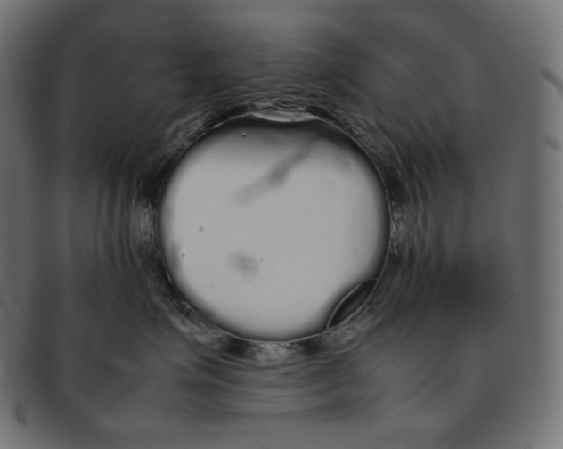 X0000092060623200710101035