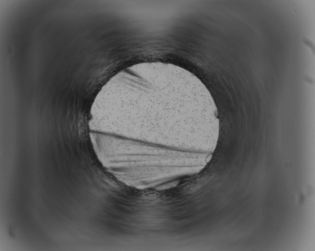 X0000092060624200710101035