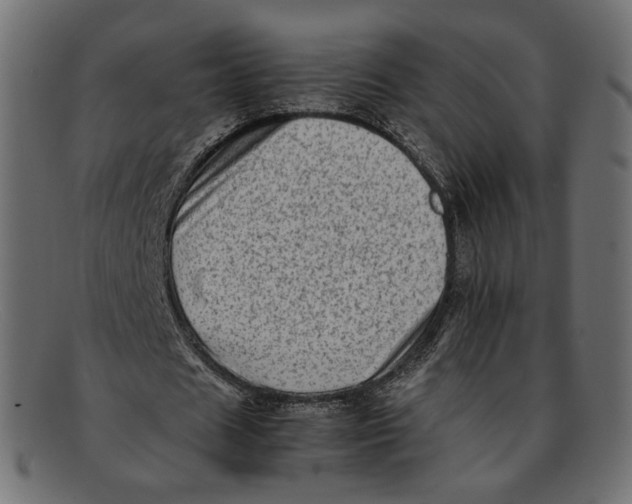 X0000092060625200710101034