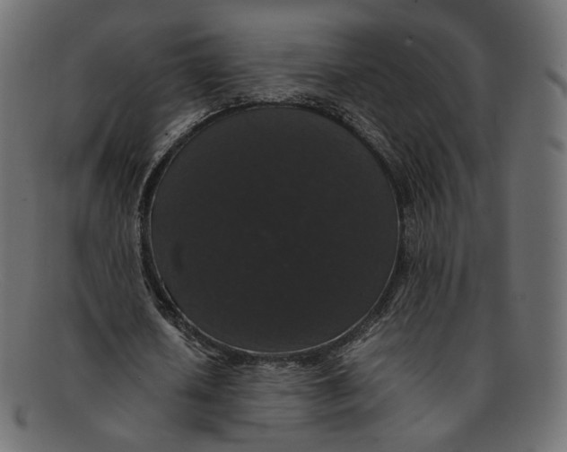 X0000092060626200710101034