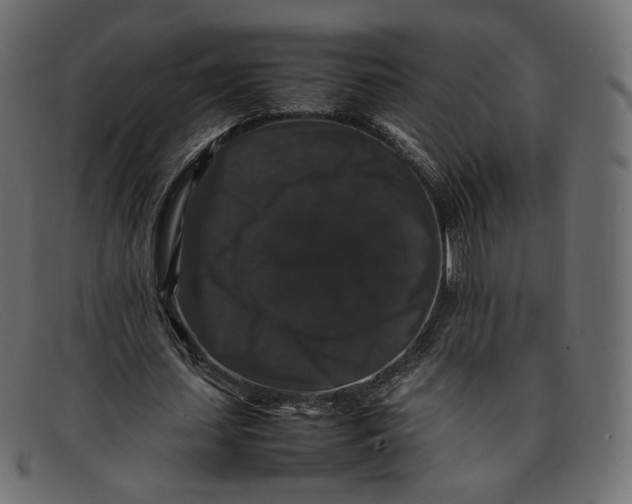 X0000092060627200710101034