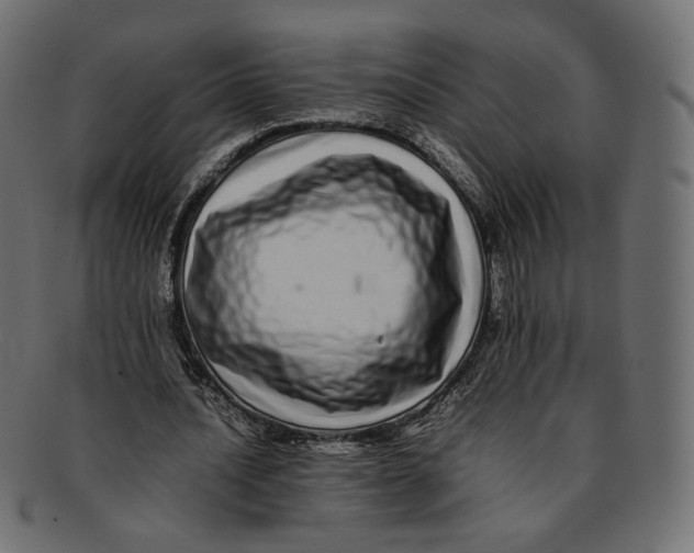 X0000092060628200710101034